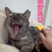 ヒメ日記 2026/04/12 21:15 投稿 さゆき 奥鉄オクテツ東京店（デリヘル市場）