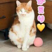 ヒメ日記 2026/04/13 20:56 投稿 さゆき 奥鉄オクテツ東京店（デリヘル市場）