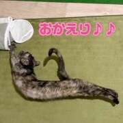 ヒメ日記 2026/04/16 07:36 投稿 さゆき 奥鉄オクテツ東京店（デリヘル市場）