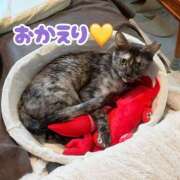 ヒメ日記 2026/04/23 20:31 投稿 さゆき 奥鉄オクテツ東京店（デリヘル市場）