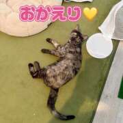 ヒメ日記 2026/04/25 21:43 投稿 さゆき 奥鉄オクテツ東京店（デリヘル市場）