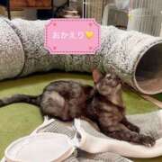 ヒメ日記 2026/04/27 22:50 投稿 さゆき 奥鉄オクテツ東京店（デリヘル市場）