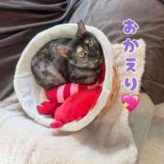 ヒメ日記 2026/04/28 21:06 投稿 さゆき 奥鉄オクテツ東京店（デリヘル市場）