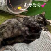ヒメ日記 2026/04/29 22:34 投稿 さゆき 奥鉄オクテツ東京店（デリヘル市場）