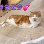 ヒメ日記 2026/05/07 23:09 投稿 さゆき 奥鉄オクテツ東京店（デリヘル市場）