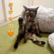 ヒメ日記 2026/05/09 22:04 投稿 さゆき 奥鉄オクテツ東京店（デリヘル市場）