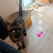 ヒメ日記 2026/05/10 22:35 投稿 さゆき 奥鉄オクテツ東京店（デリヘル市場）