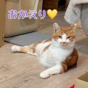 ヒメ日記 2026/06/24 21:17 投稿 さゆき 奥鉄オクテツ東京店（デリヘル市場）