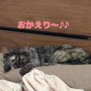 ヒメ日記 2026/07/23 17:01 投稿 さゆき 奥鉄オクテツ東京店（デリヘル市場）