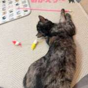 ヒメ日記 2026/08/04 22:10 投稿 さゆき 奥鉄オクテツ東京店（デリヘル市場）