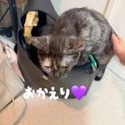ヒメ日記 2026/08/11 04:00 投稿 さゆき 奥鉄オクテツ東京店（デリヘル市場）