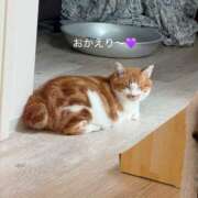 ヒメ日記 2026/08/13 22:20 投稿 さゆき 奥鉄オクテツ東京店（デリヘル市場）