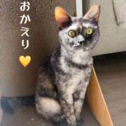 ヒメ日記 2026/08/15 20:50 投稿 さゆき 奥鉄オクテツ東京店（デリヘル市場）