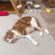 ヒメ日記 2026/08/18 23:30 投稿 さゆき 奥鉄オクテツ東京店（デリヘル市場）