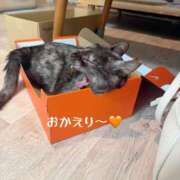 ヒメ日記 2026/08/23 22:50 投稿 さゆき 奥鉄オクテツ東京店（デリヘル市場）