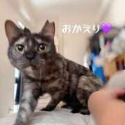 ヒメ日記 2026/09/02 20:55 投稿 さゆき 奥鉄オクテツ東京店（デリヘル市場）