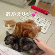 ヒメ日記 2026/09/08 21:20 投稿 さゆき 奥鉄オクテツ東京店（デリヘル市場）