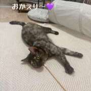 ヒメ日記 2026/09/24 23:00 投稿 さゆき 奥鉄オクテツ東京店（デリヘル市場）