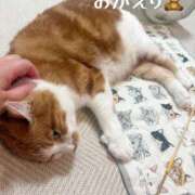 ヒメ日記 2026/09/25 22:25 投稿 さゆき 奥鉄オクテツ東京店（デリヘル市場）