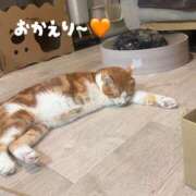 ヒメ日記 2026/09/29 23:30 投稿 さゆき 奥鉄オクテツ東京店（デリヘル市場）