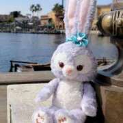 ヒメ日記 2025/11/04 21:30 投稿 りりこ タレント倶楽部Around40