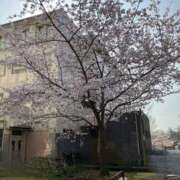 ヒメ日記 2026/04/05 12:42 投稿 りりこ タレント倶楽部Around40