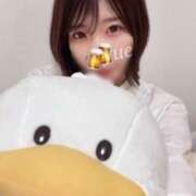 ヒメ日記 2025/04/29 15:20 投稿 一ノ瀬ゆえ 響-HIBIKI-