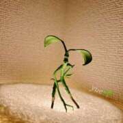 ヒメ日記 2025/05/27 02:23 投稿 一ノ瀬ゆえ 響-HIBIKI-