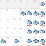 ヒメ日記 2026/02/28 03:47 投稿 一ノ瀬ゆえ 響-HIBIKI-