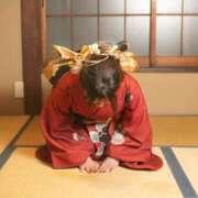 ヒメ日記 2025/01/16 12:15 投稿 涼宮あいな 響-HIBIKI-