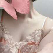 ヒメ日記 2025/11/15 11:47 投稿 レミ もしもし亀よ亀さんよ 名古屋店