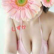 ヒメ日記 2025/04/15 18:28 投稿 一ノ瀬　静香 熟女パラダイス池袋店(カサブランカグループ)