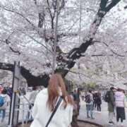 ヒメ日記 2025/04/04 09:19 投稿 ひめ 夢幻（むげん）