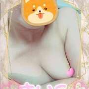 ヒメ日記 2025/08/29 21:47 投稿 まいこ 素人妻達☆マイふぇらレディー