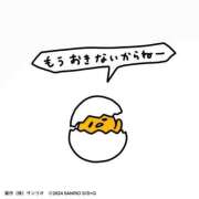 ヒメ日記 2024/12/26 01:54 投稿 くるみ アニバーサリー