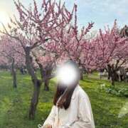 ヒメ日記 2025/05/06 22:03 投稿 くるみ アニバーサリー