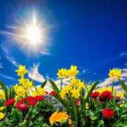 ヒメ日記 2025/03/11 11:22 投稿 さくら 40代からのリアル鹿児島美熟女 REBORN リボン