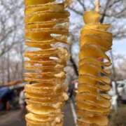 ヒメ日記 2025/04/06 11:45 投稿 さくら 40代からのリアル鹿児島美熟女 REBORN リボン