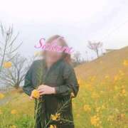 ヒメ日記 2025/04/08 07:31 投稿 さくら 40代からのリアル鹿児島美熟女 REBORN リボン