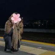 ヒメ日記 2025/04/18 09:34 投稿 さくら 40代からのリアル鹿児島美熟女 REBORN リボン