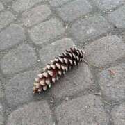 ヒメ日記 2025/05/23 15:19 投稿 八雲　みらい プルプル札幌性感エステ はんなり