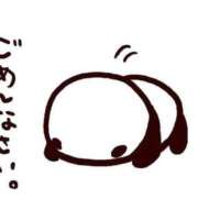 ヒメ日記 2026/02/20 17:26 投稿 みゆ プールサイド