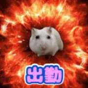 ヒメ日記 2026/03/31 08:02 投稿 まりん お姉京都