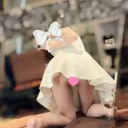 ヒメ日記 2025/10/01 08:17 投稿 なお トリプルA