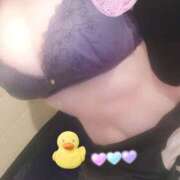 ヒメ日記 2026/04/06 13:02 投稿 かりな メイドde本舗