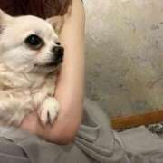 白咲ふうか 🆘緊急事態です🆘‼️お久しぶりの日記ですみません‎( i 𖥦 i ) 皇帝別館（こうていべっかん）