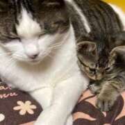 ヒメ日記 2025/03/27 21:21 投稿 ゆき 三重四日市ちゃんこ