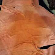 ヒメ日記 2024/12/21 15:42 投稿 有栖(ありす) Chaleur (シャルール)