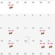 ヒメ日記 2026/01/23 00:38 投稿 有栖(ありす) Chaleur (シャルール)