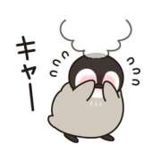 ヒメ日記 2025/01/13 21:51 投稿 ミオリ ドMな奥様 名古屋・錦店